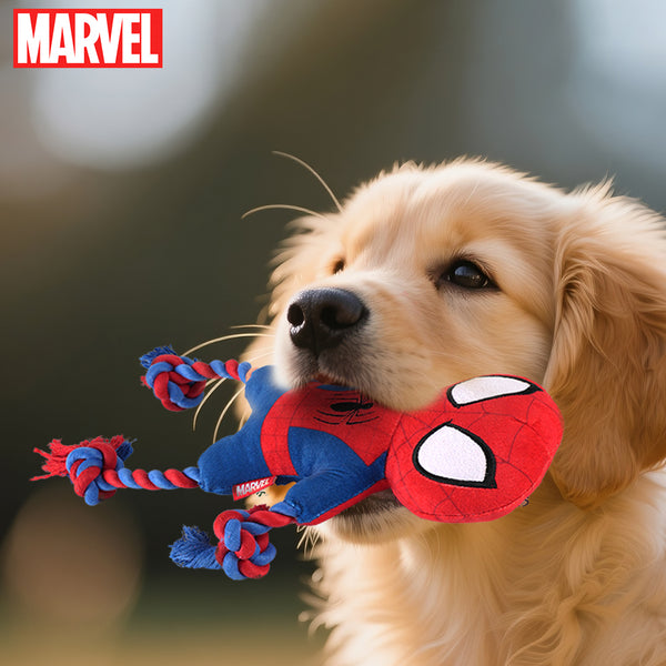 Spider-Man - Pet Accessory - DT24615-SM